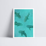 Whale Sharks Art Print